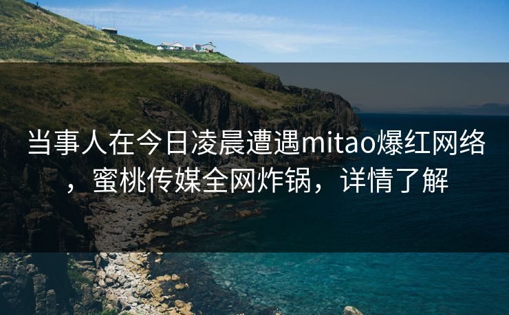 当事人在今日凌晨遭遇mitao爆红网络，蜜桃传媒全网炸锅，详情了解