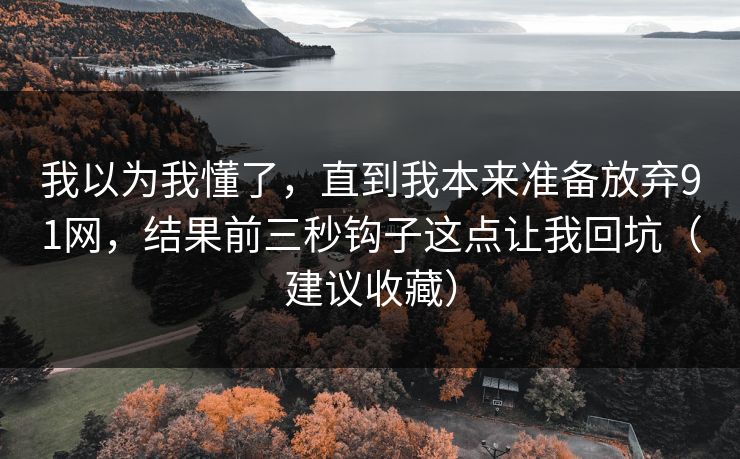 我以为我懂了，直到我本来准备放弃91网，结果前三秒钩子这点让我回坑（建议收藏）