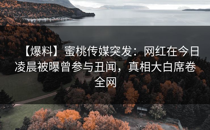 【爆料】蜜桃传媒突发：网红在今日凌晨被曝曾参与丑闻，真相大白席卷全网